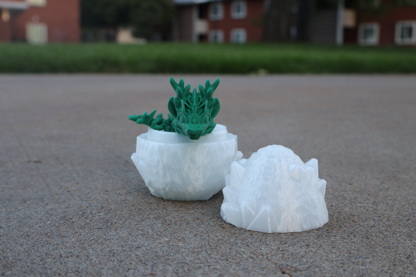 Mystery Dragon Egg 3D Printed Container - Filled with Mystery Item