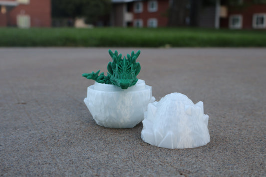 Dragon Egg 3D Printed Container - Empty